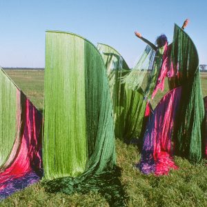 OISEAU-AU-PARADIS-1976-installation-performance